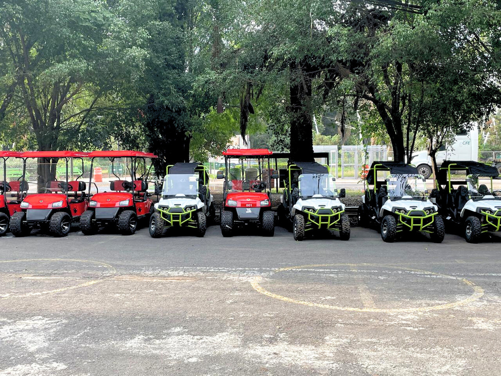 Flota Donkey Express formada en fila